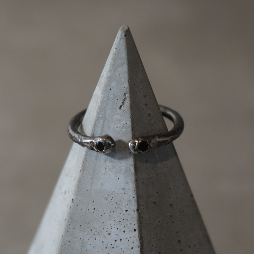 Aria ring